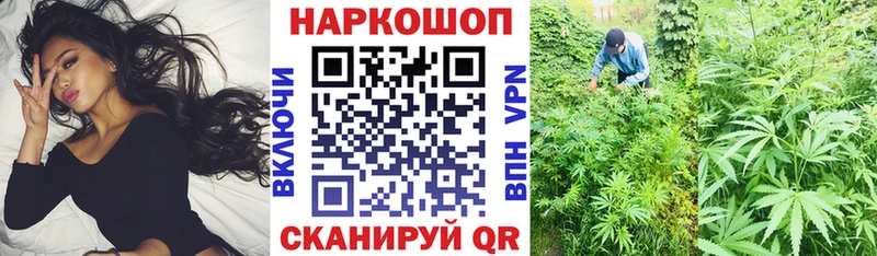 Где можно купить наркотики Петропавловск-Камчатский Cocaine Альфа ПВП ГАШ МЕФ