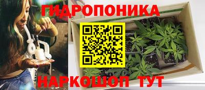 кокаин Гатчина