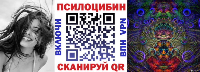 Галлюциногенные грибы мицелий  наркота  Петропавловск-Камчатский 