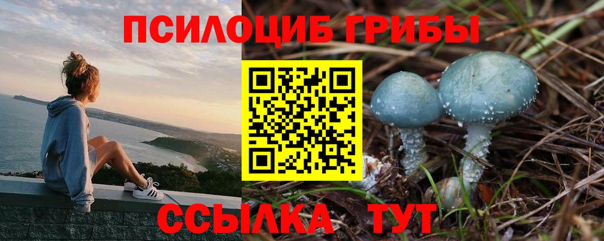 Петропавловск-Камчатский  Псилоцибиновые грибы Cubensis  Вход с VPN 