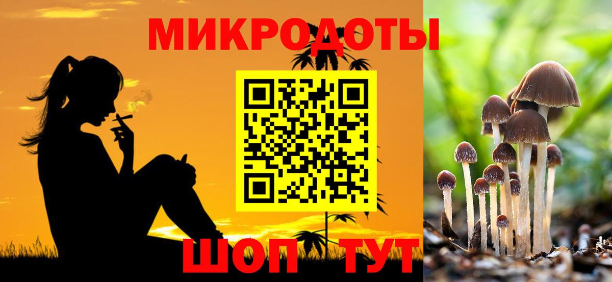 Галлюциногенные грибы MAGIC MUSHROOMS Петропавловск-Камчатский