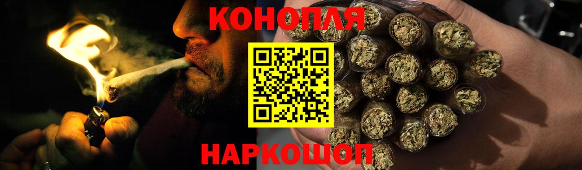 Бошки Шишки семена Петропавловск-Камчатский
